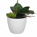Potted Single Stem White Phalaenopsis Orchid with Decorative Pot 35cm - Low Maintenance - SuperSaverAU - view 4