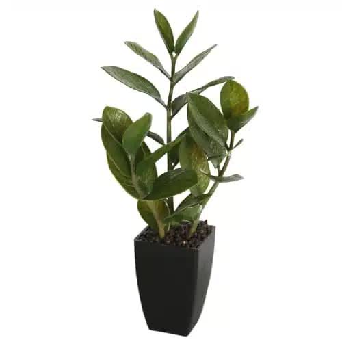 Small Potted Zanzibar 46cm - Realistic Indoor Plant in Black Ceramic Pot - SuperSaverAU - view 1