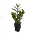 Small Potted Zanzibar 46cm - Realistic Indoor Plant in Black Ceramic Pot - SuperSaverAU - view 2