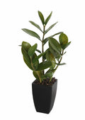 Small Potted Zanzibar 46cm - Realistic Indoor Plant in Black Ceramic Pot - SuperSaverAU - view 3