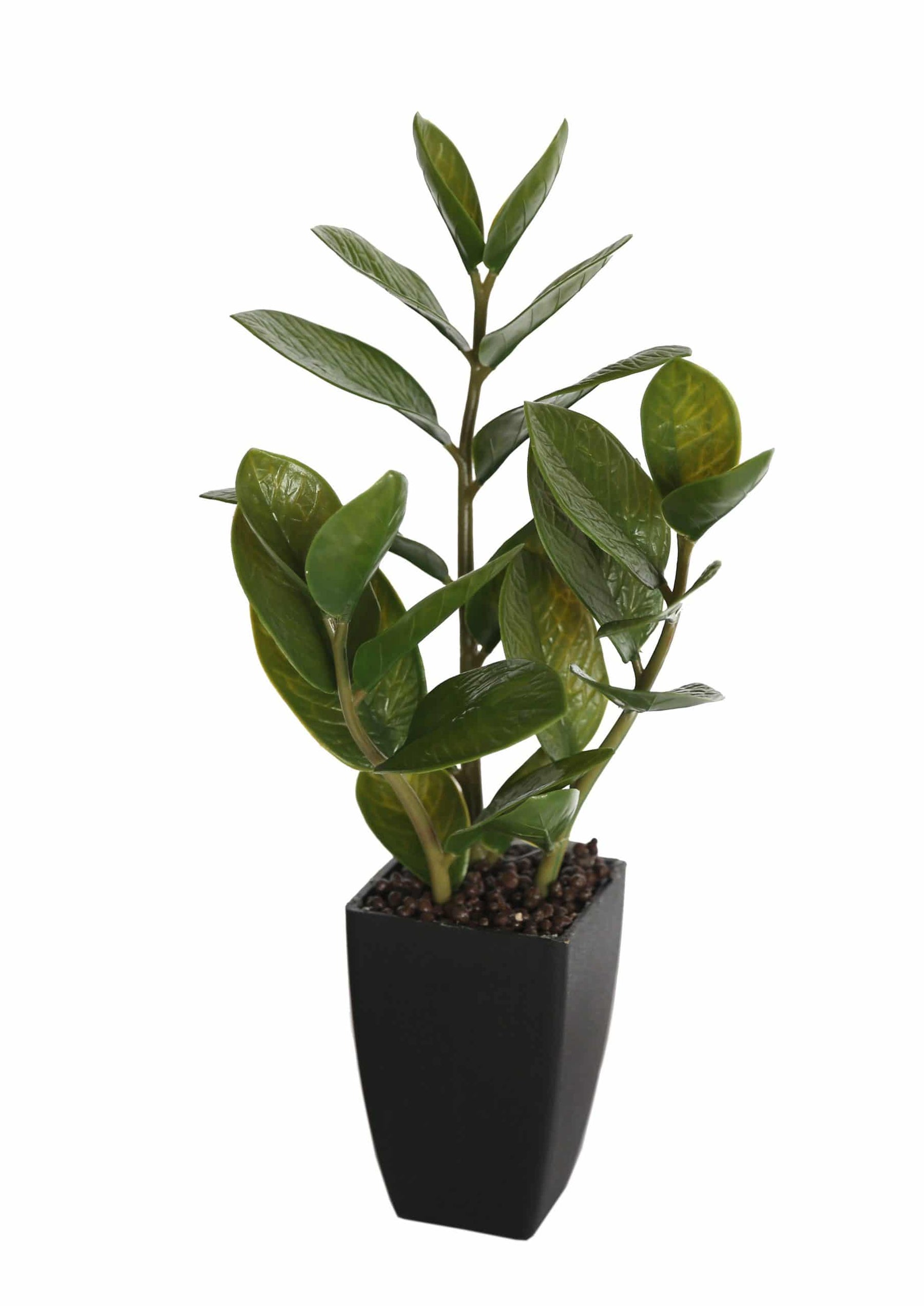 Small Potted Zanzibar 46cm - Realistic Indoor Plant in Black Ceramic Pot - SuperSaverAU - view 3