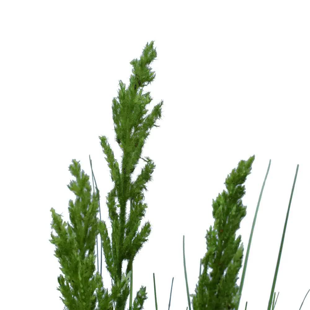 Artificial Flowering Native Grass 120cm - Lifelike, Easy Maintenance, Elegant Decor - SuperSaverAU - view 4