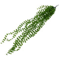 Designer Plants UV-Resistant Artificial Hanging Pearls 90cm - Realistic & Low-Maintenance - SuperSaverAU - view 3