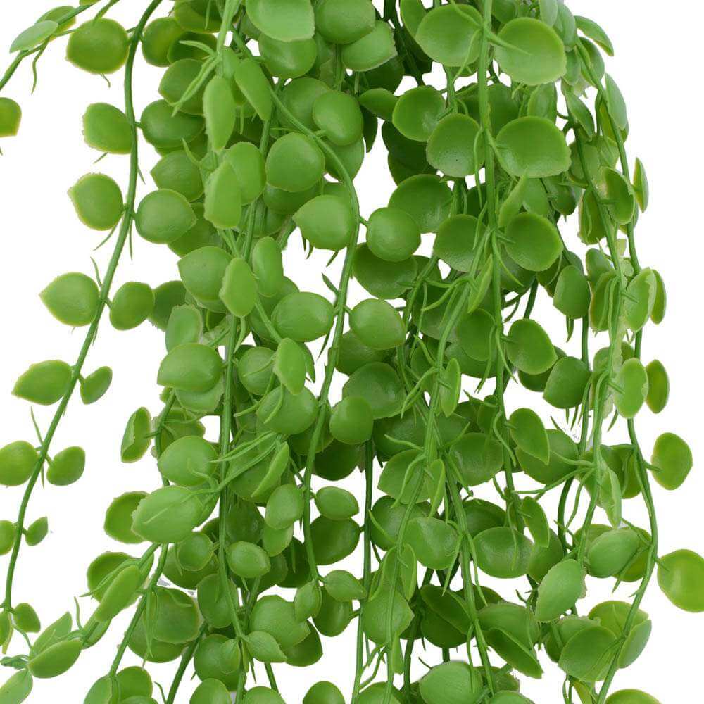 Designer Plants UV-Resistant Artificial Hanging Pearls 90cm - Realistic & Low-Maintenance - SuperSaverAU - view 5