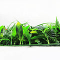 Snowy White Vertical Garden Wall 25cm x 25cm UV Stabilised, Easy Install, Lifelike - SuperSaverAU - view 2