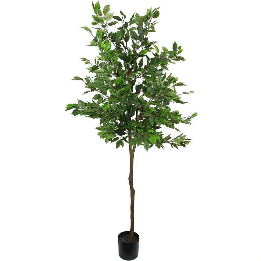 Premium Artificial Ficus Tree 160cm - Realistic Leaves, Indoor Decor - SuperSaverAU - view 1