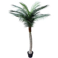 Artificial Tall Tropical Palm Tree 190cm UV Resistant, Indoor/Outdoor Use - SuperSaverAU - view 1
