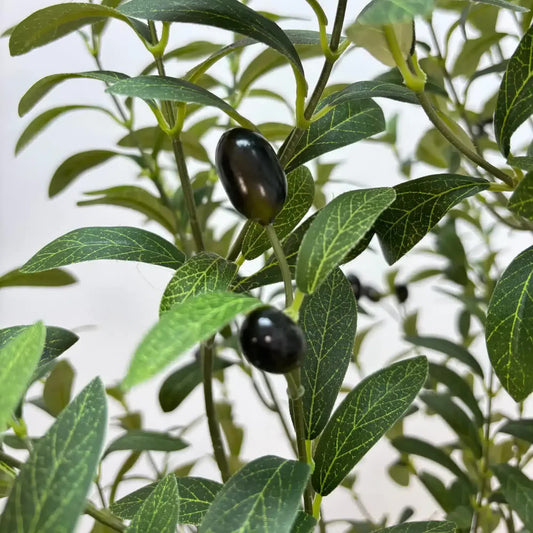 Faux Potted Olive Tree 180cm Tall - Realistic Indoor Decor with Olives