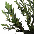 Medium Artificial Olive Tree 60cm - Lifelike, Maintenance-Free, Indoor Decor - SuperSaverAU - view 3