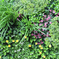 Luxury Country Fern Vertical Garden Panel 100cm x 100cm UV Resistant Recycled - SuperSaverAU - view 4