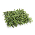 Artificial Deluxe Portable Buxus Hedge 100cm Long x 200cm High, UV Resistant, Cost-Effective Privacy Solution - SuperSaverAU - view 3