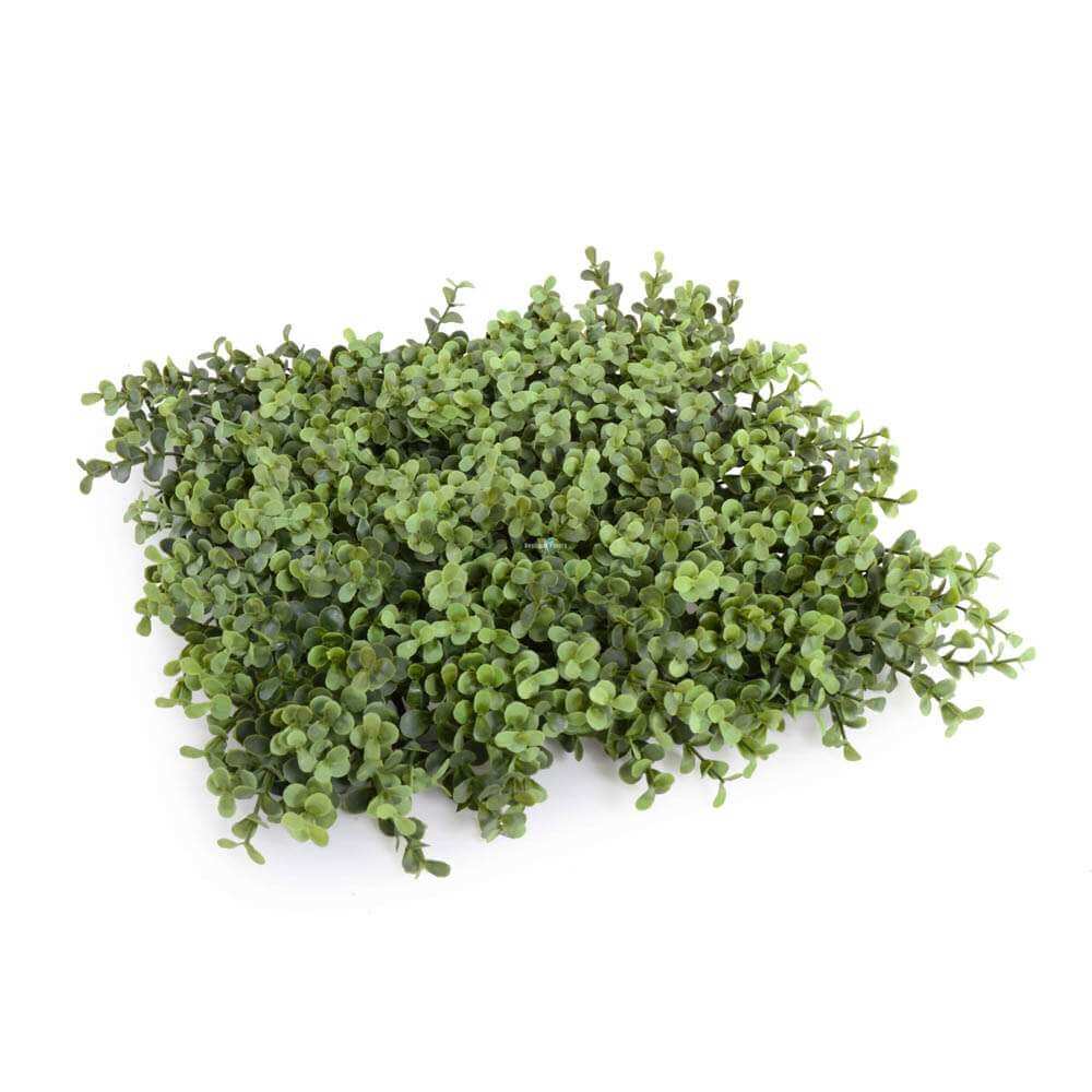 Artificial Deluxe Portable Buxus Hedge 100cm Long x 200cm High, UV Resistant, Cost-Effective Privacy Solution - SuperSaverAU - view 3