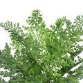 Designer Plants Faux Maiden Hair Fern Stem 40cm - Realistic, Low-Maintenance Decor - SuperSaverAU - view 3
