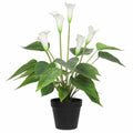 Designer Plants Faux Potted Peace Lily Plant 50cm - Real Touch, Indoor Use - SuperSaverAU - view 1
