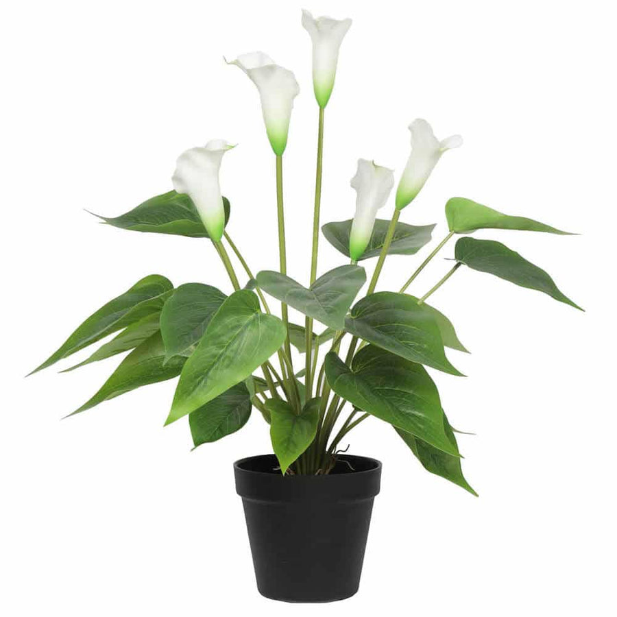 Designer Plants Faux Potted Peace Lily Plant 50cm - Real Touch, Indoor Use - SuperSaverAU - view 1