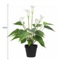 Designer Plants Faux Potted Peace Lily Plant 50cm - Real Touch, Indoor Use - SuperSaverAU - view 2