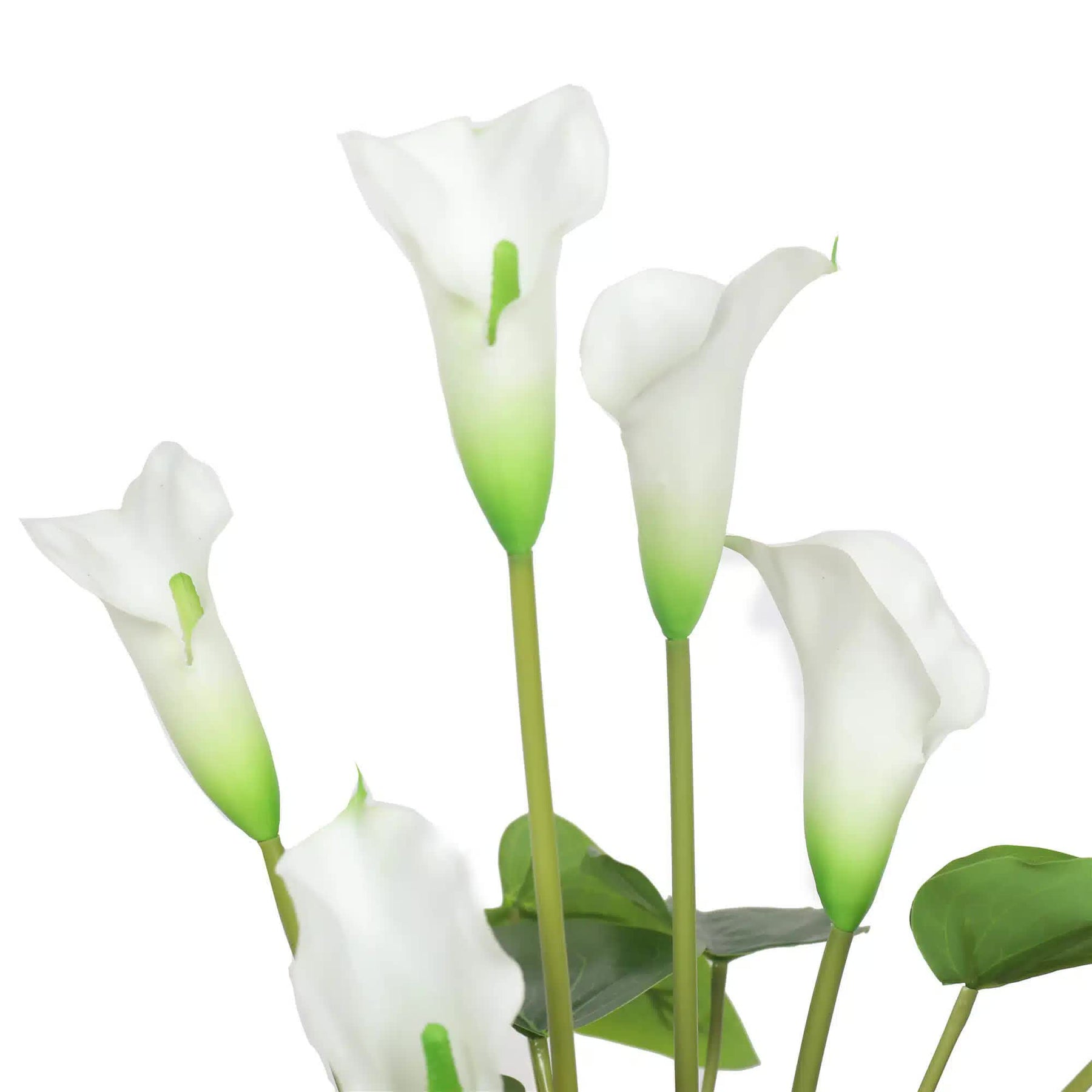 Designer Plants Faux Potted Peace Lily Plant 50cm - Real Touch, Indoor Use - SuperSaverAU - view 3