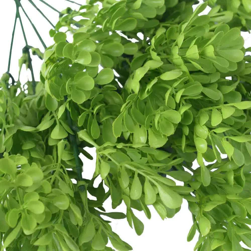 Vivid Green Eucalyptus Plant 32cm UV Resistant - Unique Leaf Shape - SuperSaverAU - view 4