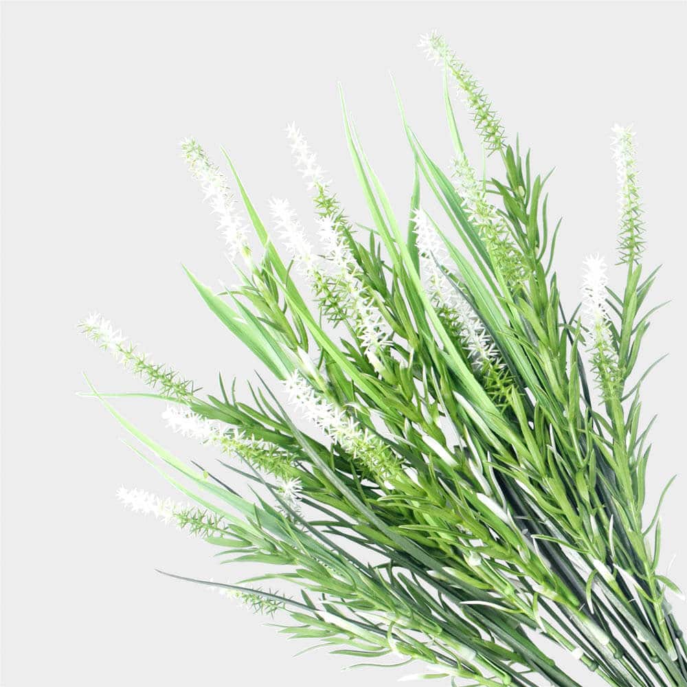 Designer Plants Long Stem White Lavender 50cm UV Resistant - Realistic & Low Maintenance