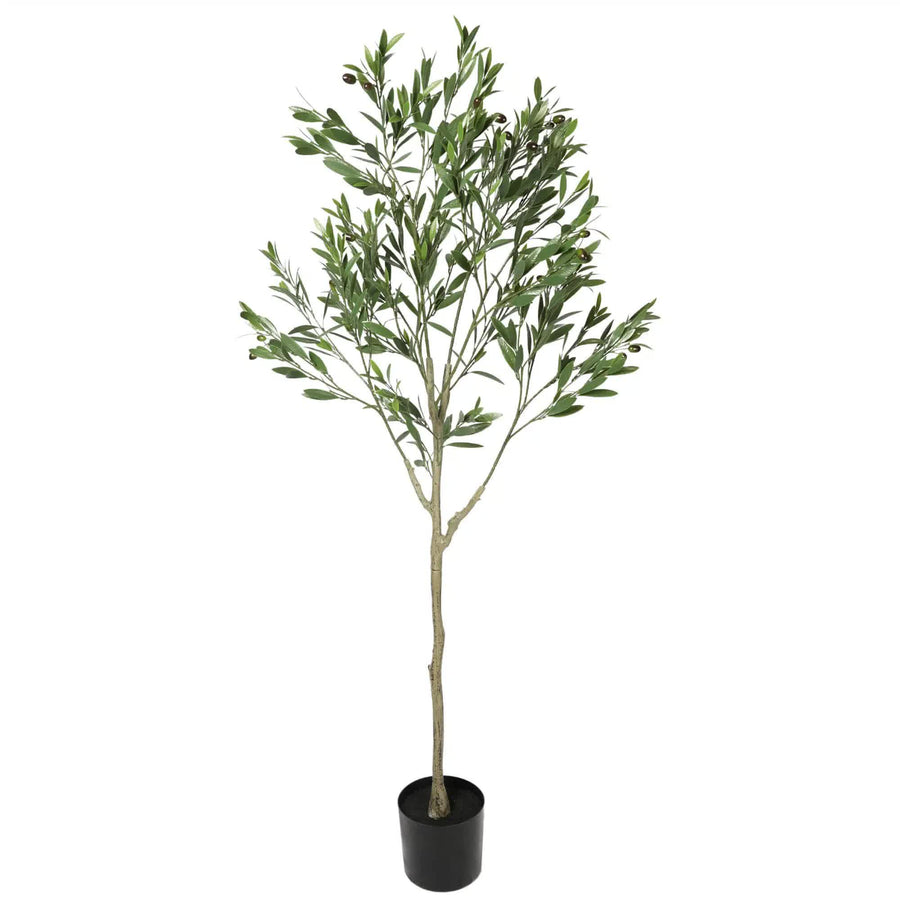 Nearly Natural Artificial Olive Tree 180cm UV Resistant Faux Plant - SuperSaverAU - view 1