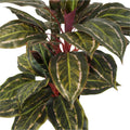 Faux Potted Cordyline Plant 90cm - Lifelike, Maintenance-Free, Indoor/Outdoor - SuperSaverAU - view 4