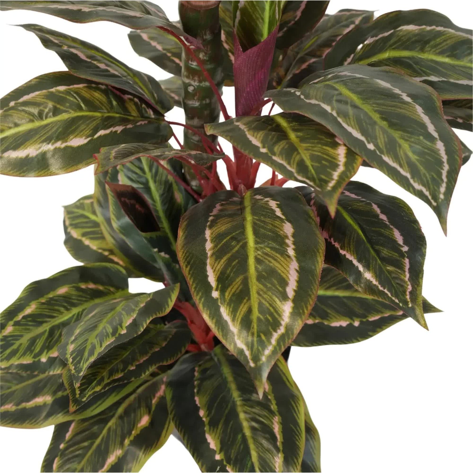 Faux Potted Cordyline Plant 90cm - Lifelike, Maintenance-Free, Indoor/Outdoor - SuperSaverAU - view 4