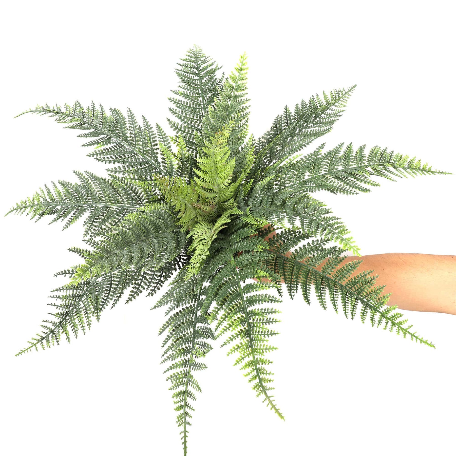 Designer Plants Premium Artificial Australian Fern UV Resistant 60cm - Lifelike Green Foliage - SuperSaverAU - view 3