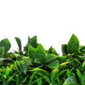 Artificial Flowering Lilac Vertical Garden Wall Panel 25cm x 25cm UV Stabilised - SuperSaverAU - view 4