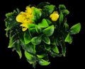 Artificial Flowering Yellow Rose Jasmine Stem UV Resistant 30cm - SuperSaverAU - view 3
