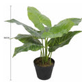 Artificial Potted Taro Plant 55cm - Indoor Elephant Ear Plant for Tambour Cabinets - SuperSaverAU - view 2
