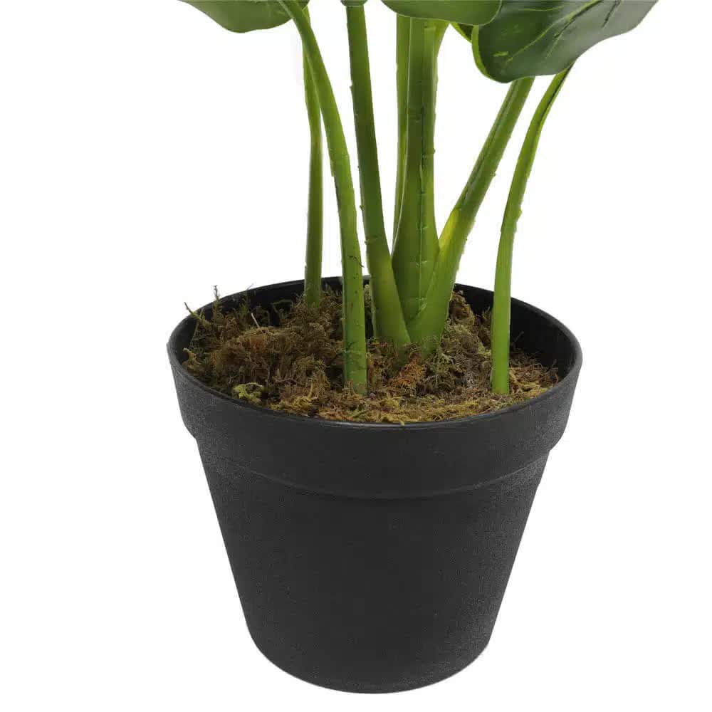 Artificial Potted Taro Plant 55cm - Indoor Elephant Ear Plant for Tambour Cabinets - SuperSaverAU - view 4