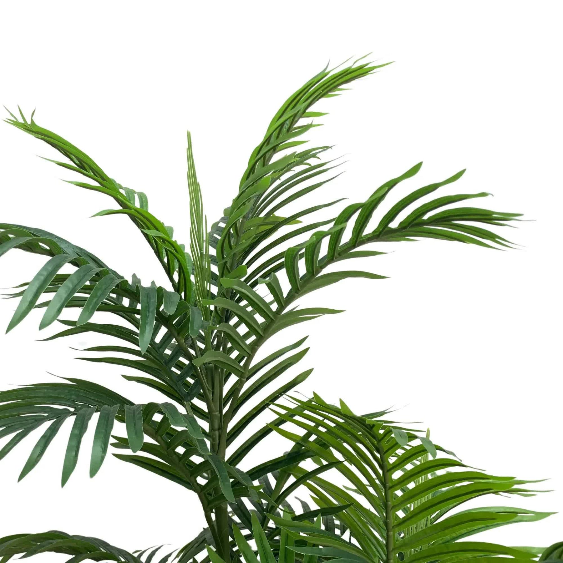 Premium Artificial Potted Multi-trunk Fan Palm Tree 180cm - Indoor Plant - SuperSaverAU - view 4