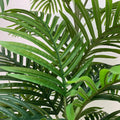 Premium Artificial Potted Multi-trunk Fan Palm Tree 180cm - Indoor Plant - SuperSaverAU - view 5