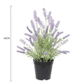 Potted Artificial Lavender Plant 40cm - Indoor/Outdoor, Elegant Decor - SuperSaverAU - view 2