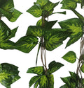 Artificial Pothos Vines 260cm Each (5 Pack) - Faux Greenery Garland - SuperSaverAU - view 1