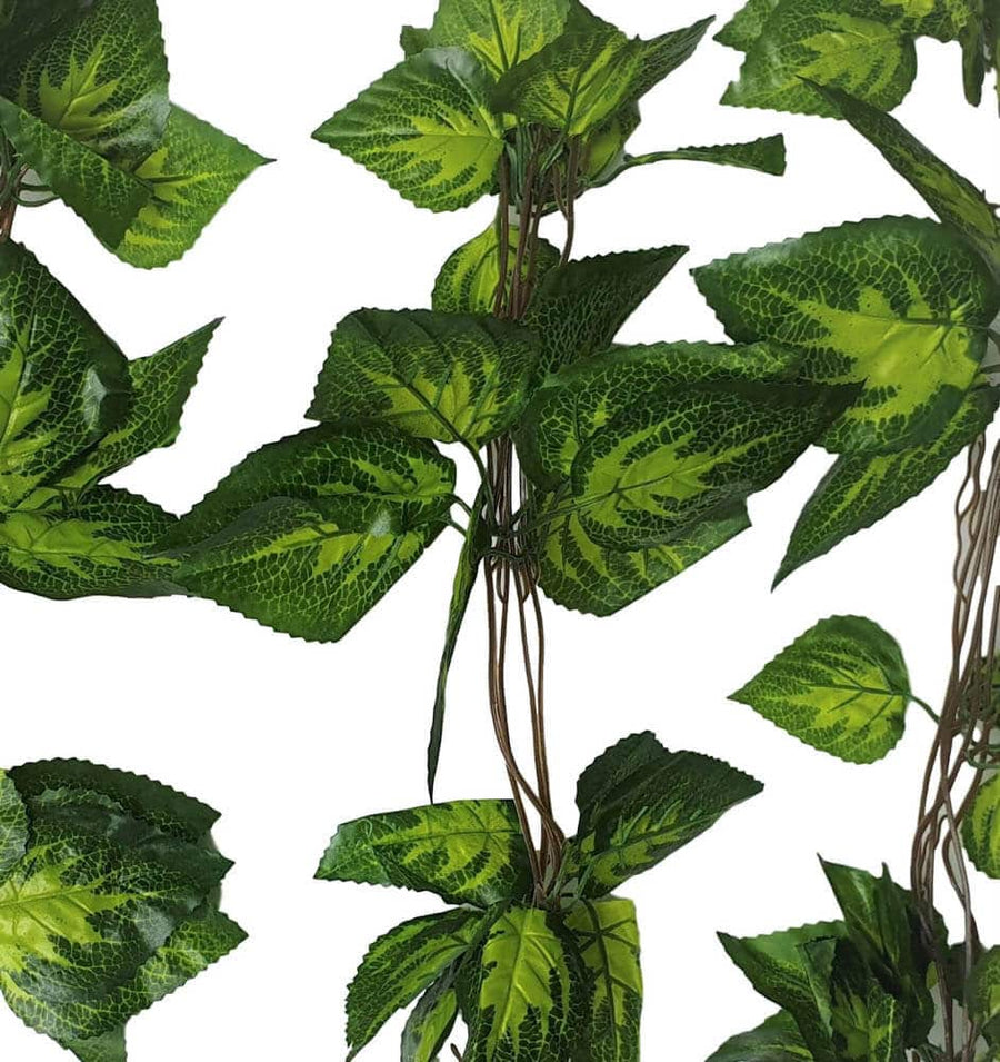 Artificial Pothos Vines 260cm Each (5 Pack) - Faux Greenery Garland - SuperSaverAU - view 1