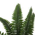 Nearly Natural Potted Boston Fern 50cm High 70cm Wide - Life-Like Foliage - SuperSaverAU - view 3
