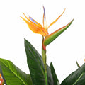 Faux Potted Bird of Paradise Plant 150cm - Lush Real Touch Indoor Decor - SuperSaverAU - view 3