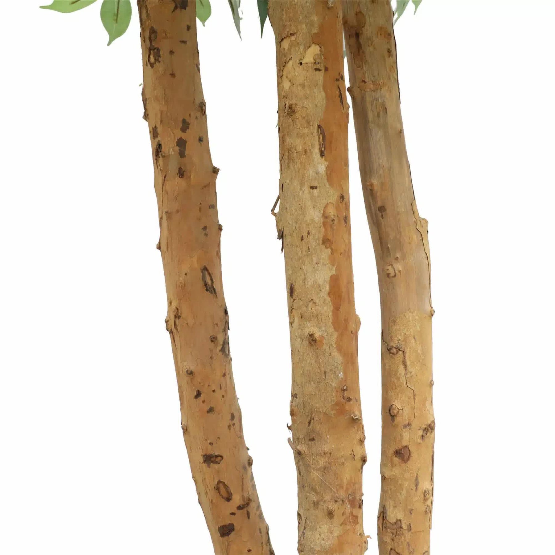 Custom Made Ficus Tree 250cm - Hand Made, Thousands of Leaves, 40+kg - SuperSaverAU - view 3