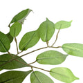 Custom Made Ficus Tree 250cm - Hand Made, Thousands of Leaves, 40+kg - SuperSaverAU - view 4