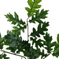 Designer Plants Artificial Oak Leaves 63cm - Realistic Faux Greenery, Low Maintenance - SuperSaverAU - view 3