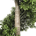 Artificial Spiral Topiary Tree 150cm High - Outdoor Suitable, UV Resistant - SuperSaverAU - view 4