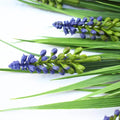 Designer Plants Artificial English Lavender Stem 50cm UV Resistant, Realistic & Low Maintenance - SuperSaverAU - view 4