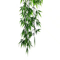 Vivid Green Hanging Artificial Ruscus Plant UV Resistant 120cm - Lifelike Design - SuperSaverAU - view 2