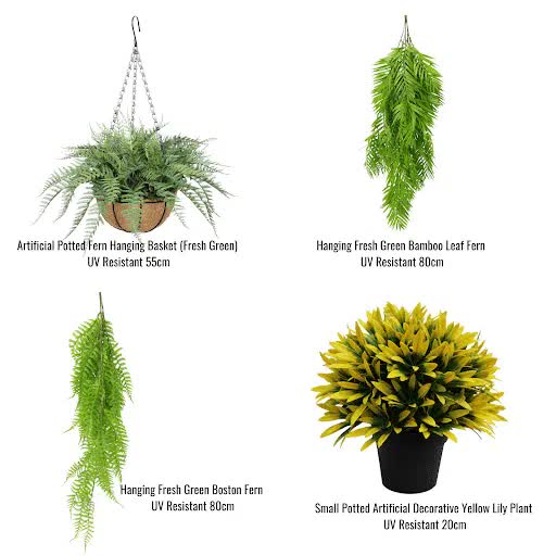 Hanging Basket with 2 Cascading Ferns & Small Potted Plant Bundle, 38cm x 38cm - SuperSaverAU - view 1