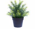 UV Treated 20cm Small Potted Plants Bundle of 4 - Low Maintenance, Realistic Foliage - SuperSaverAU - view 2