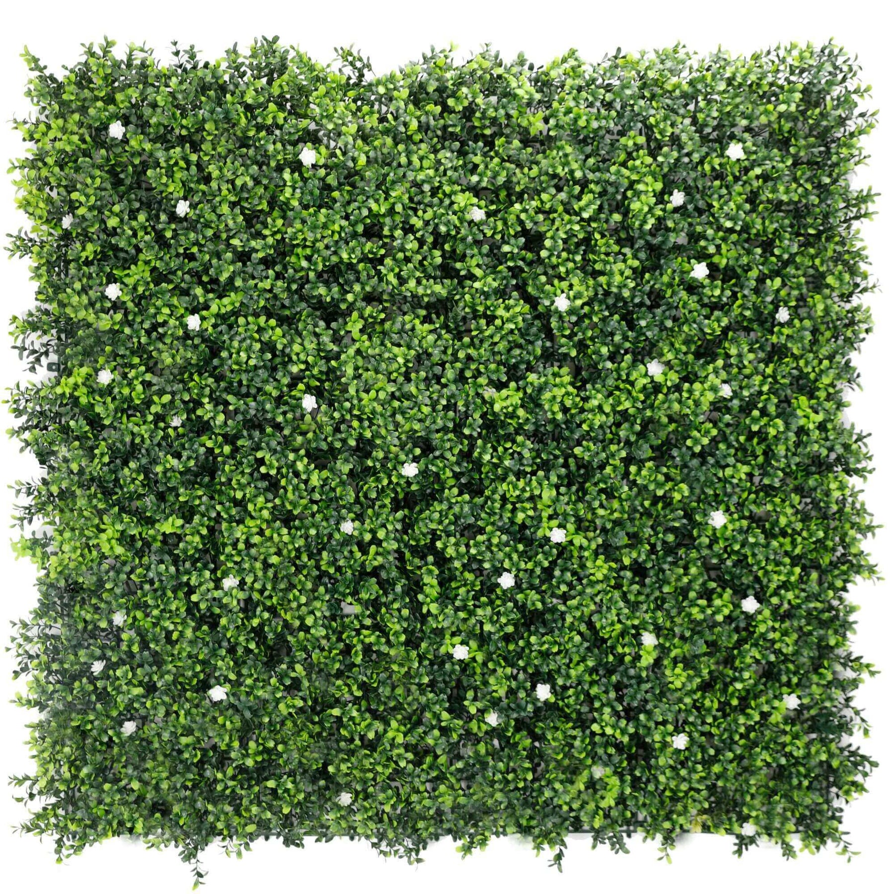 Designer Plants Luxury Flowering Artificial Buxus Hedge Panel UV Resistant 1m x 1m - SuperSaverAU - view 1