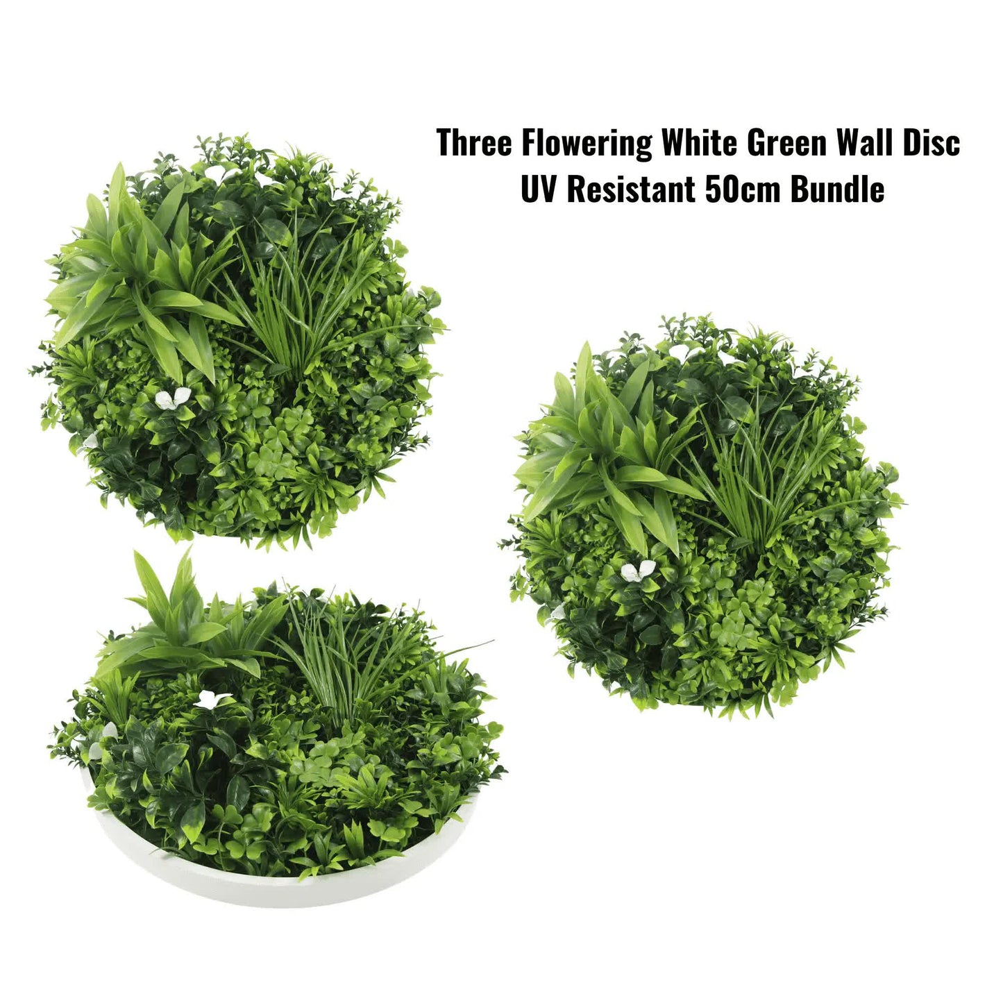Designer Plants Three Flowering White Green Wall Disc Bundle 50cm UV Resistant