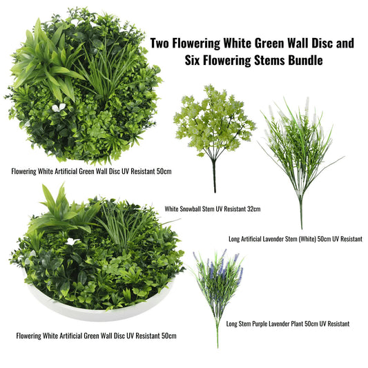 Designer Plants Two Flowering White Green Wall Discs 50cm & Six Stems Bundle