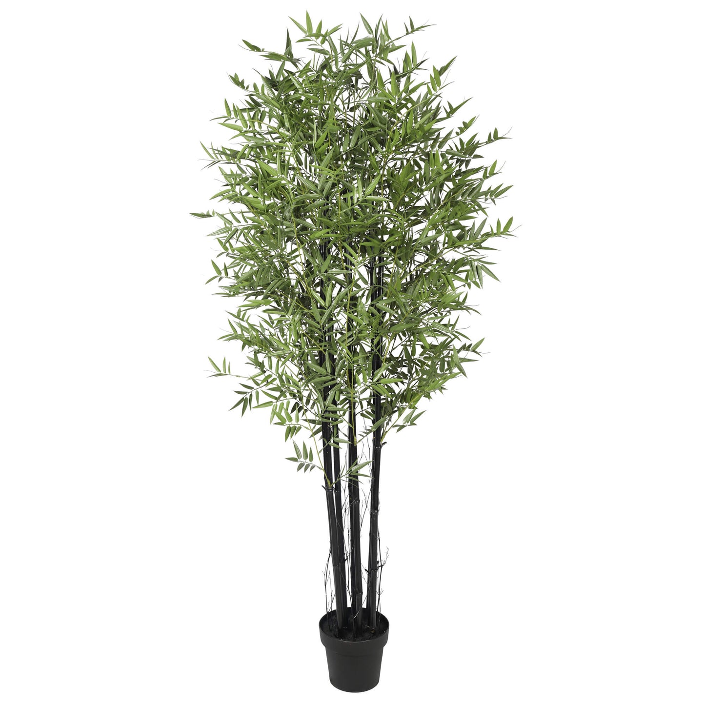 Designer Plants Potted Artificial Black Bamboo 180cm UV Resistant, Lifelike Foliage